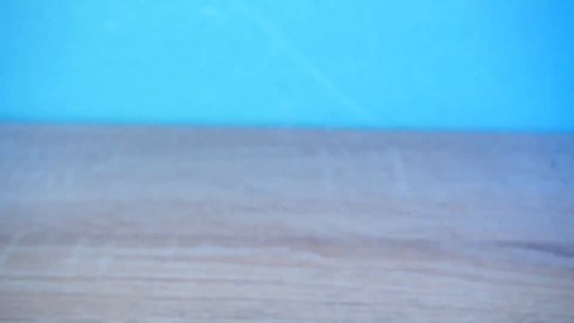 Что ЗА Зоономали Zoonomaly А ?