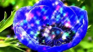 Музыкальный-клип. мечты и цветы - София Ротару - Луна Луна