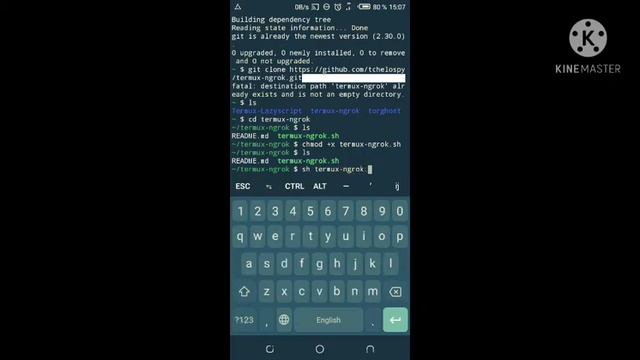 TESTING NGROK ON THE PHONE смотреть онлайн