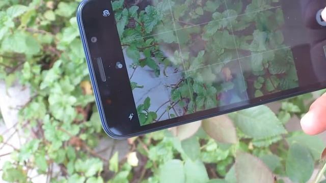 Honor 7S Review - 7 Day Review | Best Budget Phone | смотреть онлайн