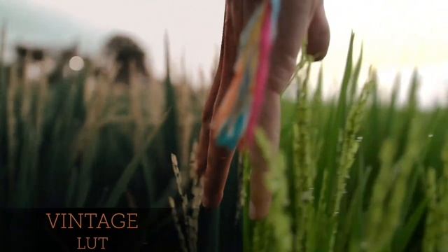 Vintage LUT preview смотреть онлайн