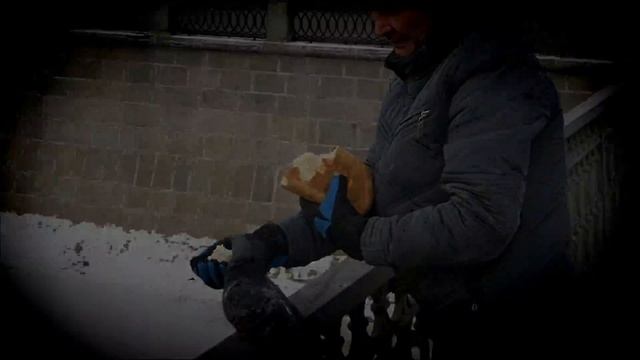 Приятная и полезная катушка! 2 февраля 2014 смотреть онлайн