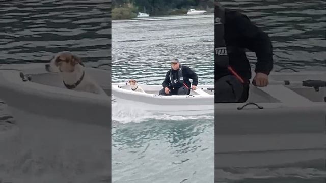 MicroTENDER Max prototype launch смотреть онлайн