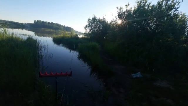 Ловим Карася На Дикаре. Рыбалка На Пикер смотреть онлайн