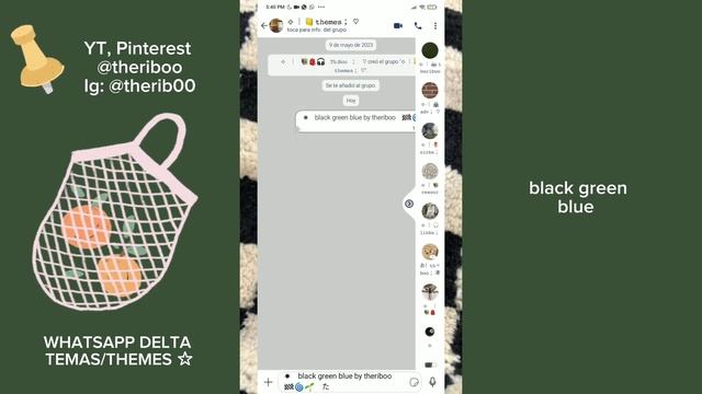 🏁🪴WhatsApp Delta Themes | Ultra Temas 2023 | @theriboo 🥐🩶 смотреть онлайн