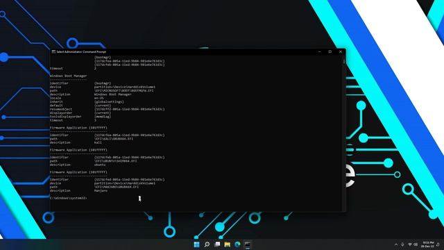 How to Properly Remove Linux From a GPT System | Remove UEFI Boot Entry смотреть онлайн
