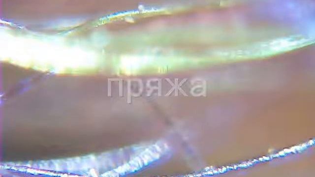 Под микроскопом смотреть онлайн