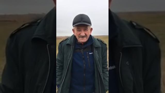 Анапа летает в Темрюке смотреть онлайн