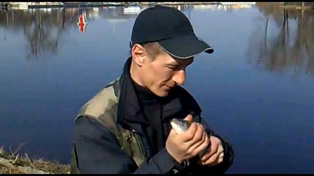 жерешок на пине