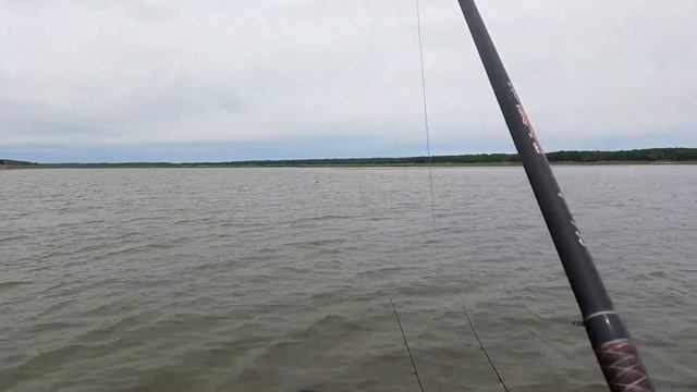 Carp and catfish on the method feeder