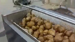 Полуавтоматическая мойка для корнеплодов, картофеля, моркови, свеклы