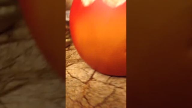 Коллекция лягушек на кухне смотреть онлайн