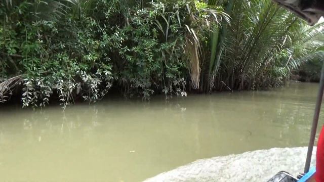 Vietnam 2019. Saigon. Mekong Delta Tour. Вьетнам. Сайгон. Дельта Меконг.