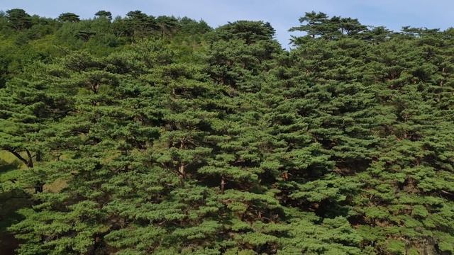 Курилы 2020 смотреть онлайн