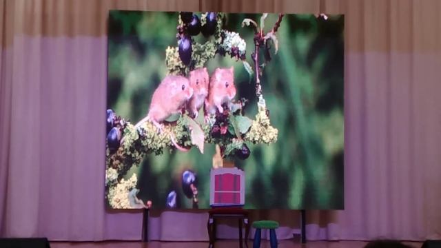 театр"Арлекин" выступление 16.03.2023г. руководитель Сенчищева Татьяна Васильевна смотреть онлайн