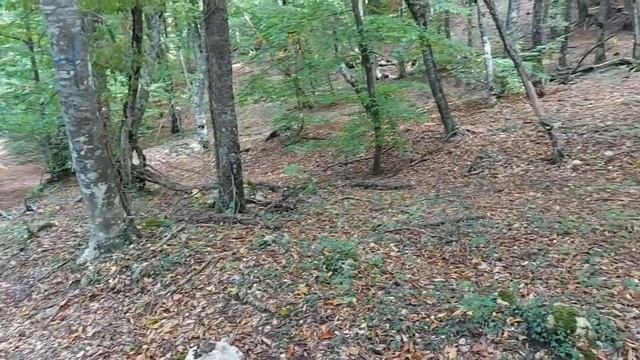 Восхождение на гору Аждер-Канат, Крым