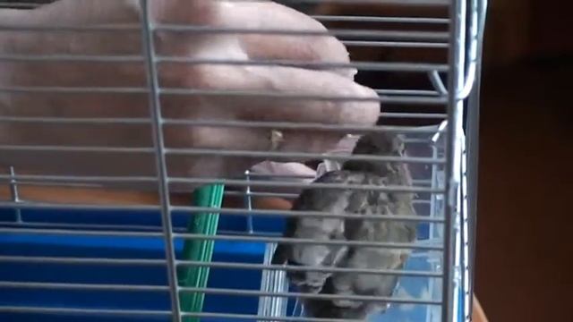 M2U00204 смотреть онлайн