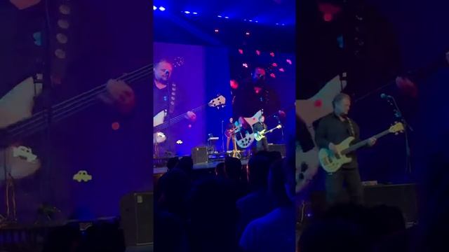 Мы хотим танцевать Кино 2021г.16.05.21г смотреть онлайн