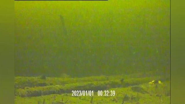 Подводная камера не нашла рыбу. смотреть онлайн