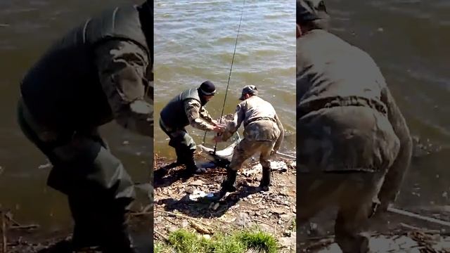 VID 20140425 101525 смотреть онлайн
