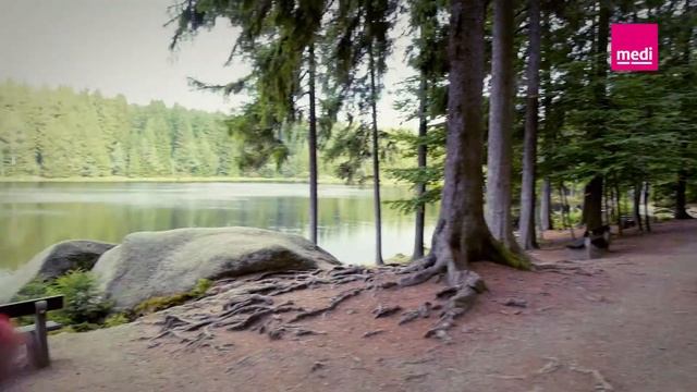 Imagevideo medi panthera CFII смотреть онлайн