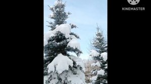 Кырлай,музей Г.Тукая