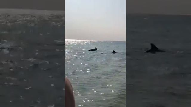 Анапа октябрь 2020 смотреть онлайн