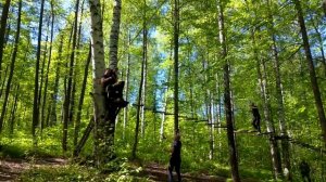 Развлекуха. Спуск на веревке с дерева.