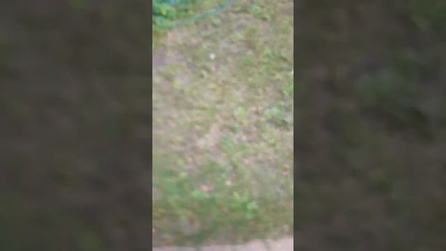 Как правильно открывать дверь ключем смотреть онлайн