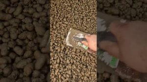 Как поднять уровень пола при помощи керамзита