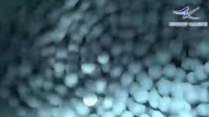 Производство драже