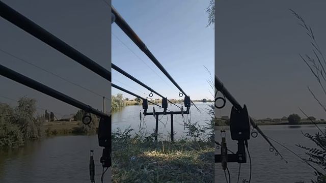 Вся рыбалка прошло в пустую сидели без поклёвок из-за жары! смотреть онлайн