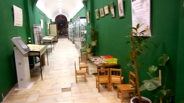 Zoological Museum of Moscow University 3.01.2015 2 смотреть онлайн