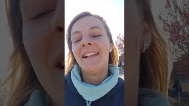 Турция и яхтинг. Остановка в марине, доставка Стамбул-Симферополь, будущие планы. +79629282728 смотреть онлайн