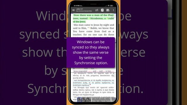 Introduction to Document Windows (And Bible v4.0+) смотреть онлайн