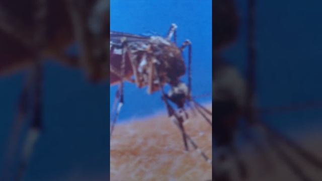 Здоровые подсказки