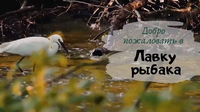 Добро пожаловать в Лавку рыбака! смотреть онлайн