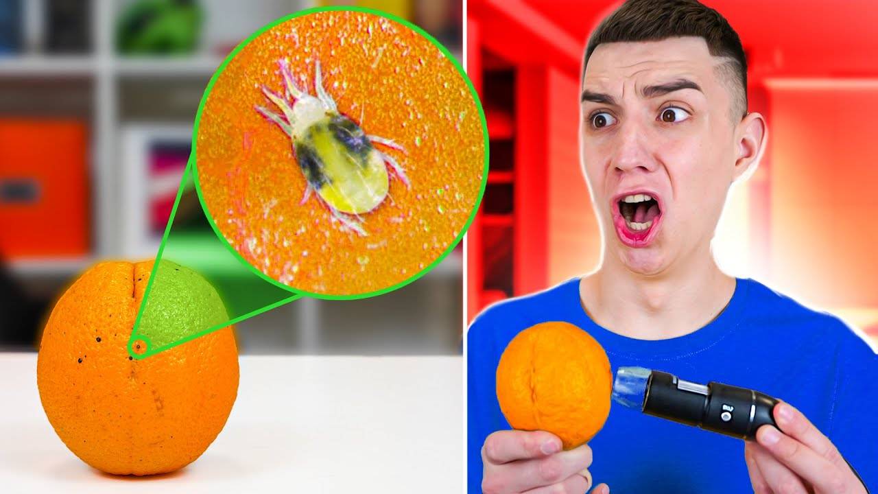 СМОТРЮ НА ВСЕ ПОД МИКРОСКОПОМ ЧЕЛЛЕНДЖ ! ЧАСТЬ 5 смотреть онлайн