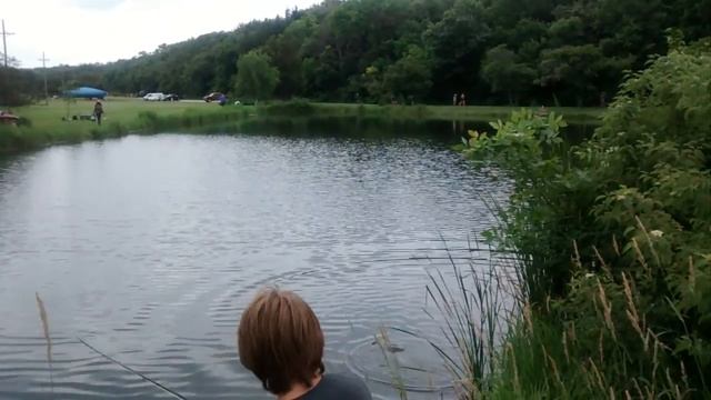 Fly Fishing For Bass