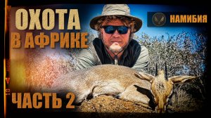 ОХОТА В НАМИБИИ|ЧАСТЬ 2| ОХОТА С ДЕНИСОМ МОРОЗОВЫМ