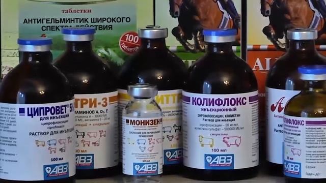 Александр Самоделкин об эпизоотической безопасности смотреть онлайн