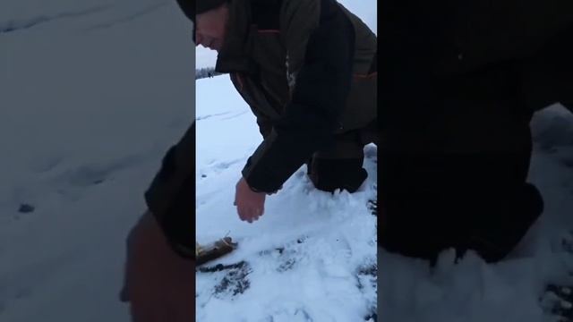 ЖОР! щука на жерлицы Зимняя рыбалка на жерлицы смотреть онлайн
