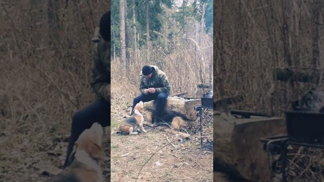 Я нашёл её в лесу! И забрал домой смотреть онлайн