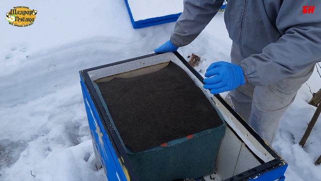 пчеловодство, зимовка в лежаке, пока все идеально смотреть онлайн