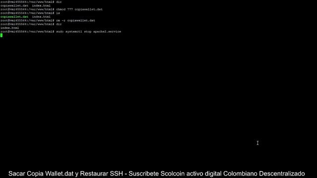 Restaurar Nodo VPS linux ubuntu 18 04 SSH Scolcoin y Backup de un Nodo con Criptomoneda Blockchain смотреть онлайн