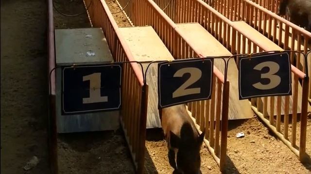 Путешествие во Вьетнам. Часть 2 смотреть онлайн