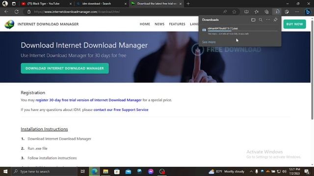 Internet Download manager download sinhala | IDM download | sinhala | Black Tiger смотреть онлайн