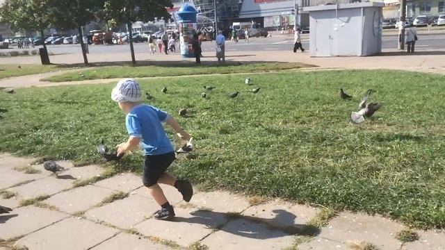 Санек гоняет голубей по уручье смотреть онлайн