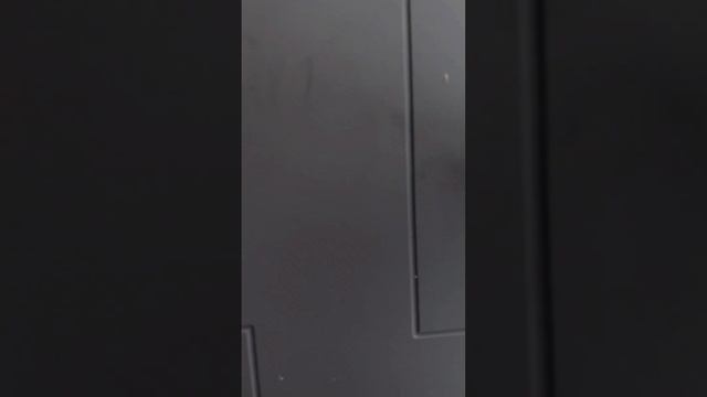 17 ноября 2023 г. смотреть онлайн