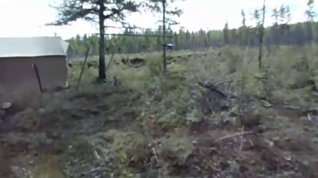 Экскурсия по лагерю-2 (2012 г.).AVI смотреть онлайн